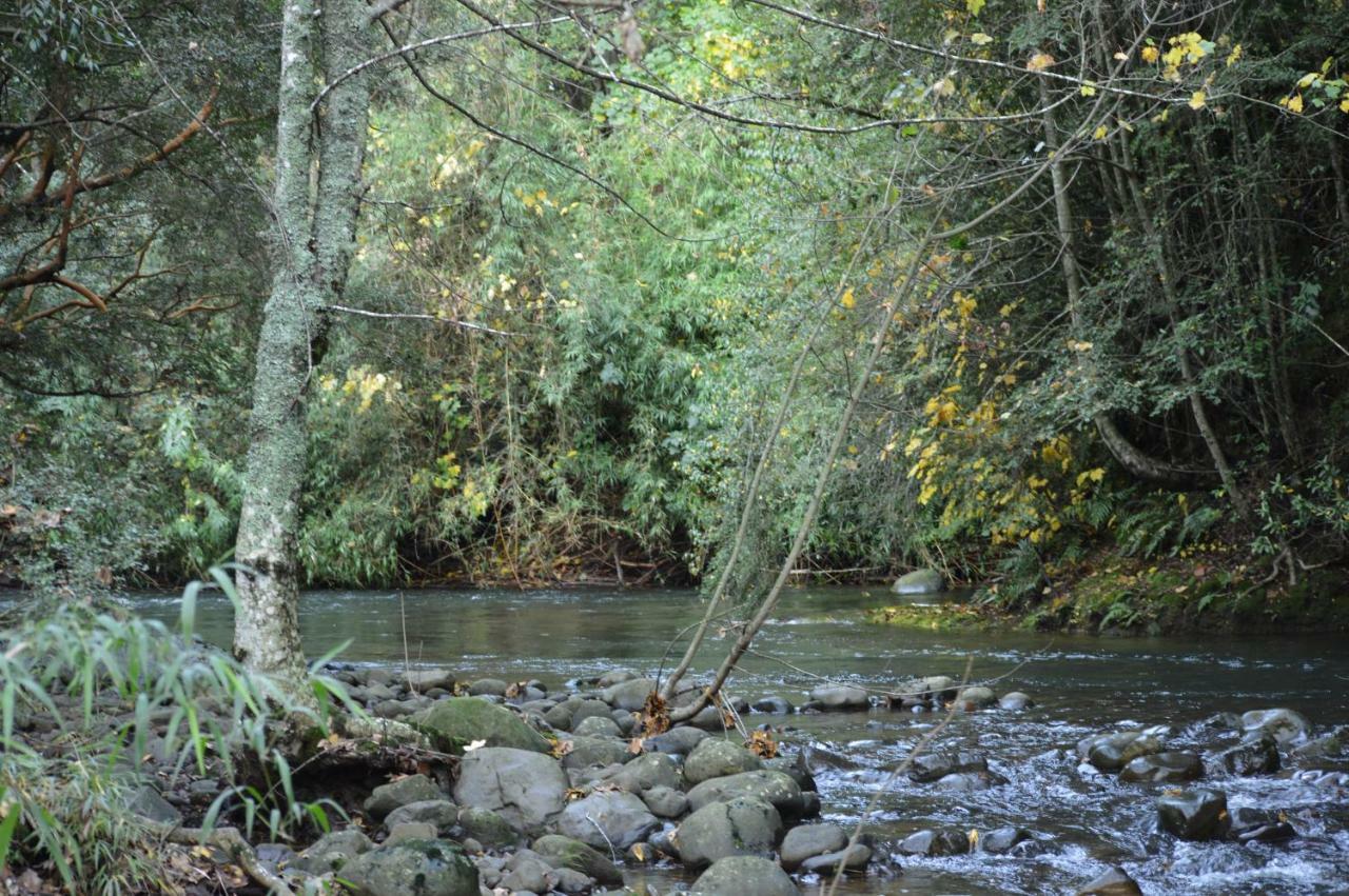 Refugios Canto Del Agua * Villarrica